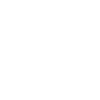 Iris Recognition