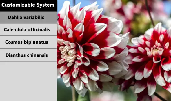 customizable system