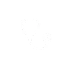 Healthcare Healthcare